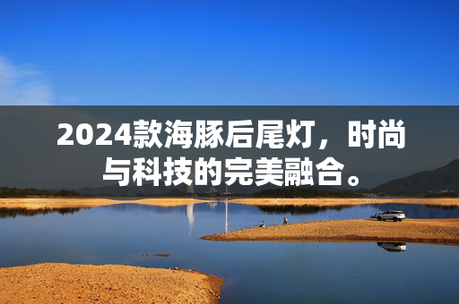 2024款海豚后尾灯，时尚与科技的完美融合。