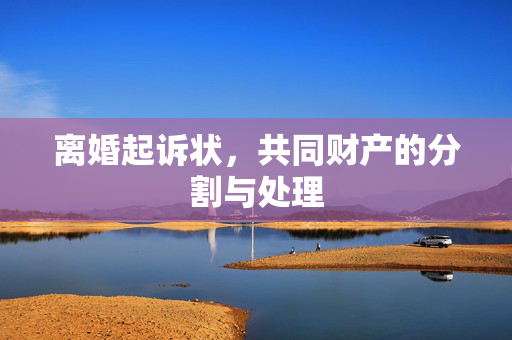 离婚起诉状，共同财产的分割与处理