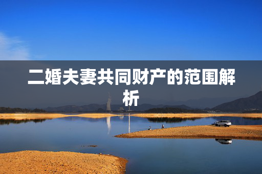 二婚夫妻共同财产的范围解析