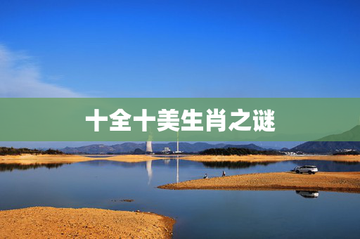 十全十美生肖之谜