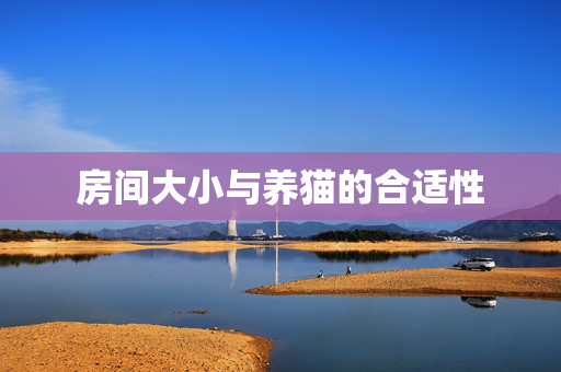 房间大小与养猫的合适性