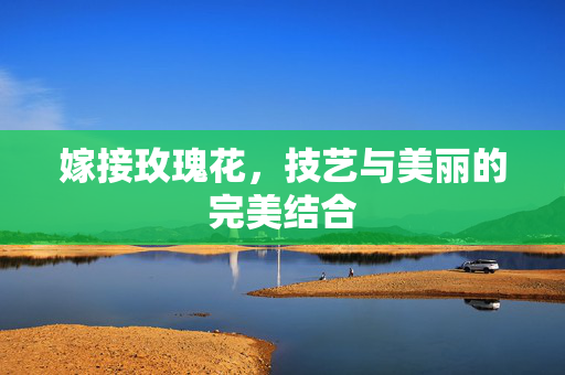 嫁接玫瑰花，技艺与美丽的完美结合