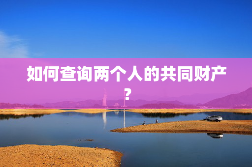如何查询两个人的共同财产？