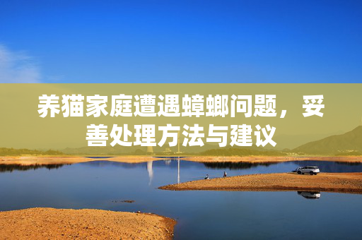 养猫家庭遭遇蟑螂问题，妥善处理方法与建议
