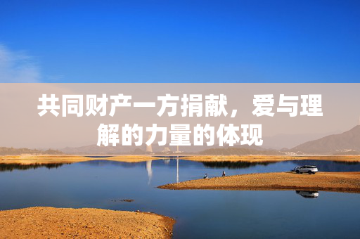 共同财产一方捐献，爱与理解的力量的体现