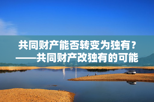 共同财产能否转变为独有？——共同财产改独有的可能性与条件