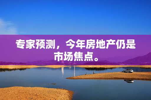 专家预测，今年房地产仍是市场焦点。