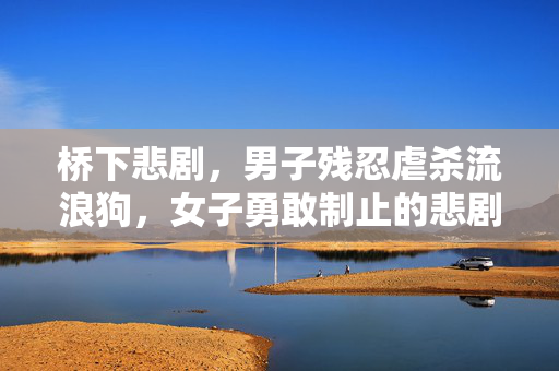 桥下悲剧，男子残忍虐杀流浪狗，女子勇敢制止的悲剧事件