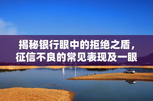 揭秘银行眼中的拒绝之盾，征信不良的常见表现及一眼被拒的征信模样