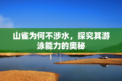 山雀为何不涉水，探究其游泳能力的奥秘