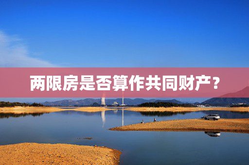 两限房是否算作共同财产？