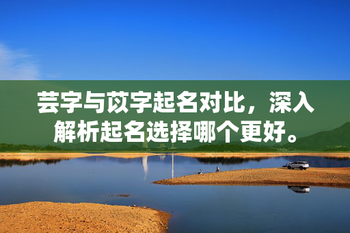 芸字与苡字起名对比，深入解析起名选择哪个更好。