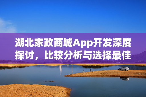 湖北家政商城App开发深度探讨，比较分析与选择最佳开发团队