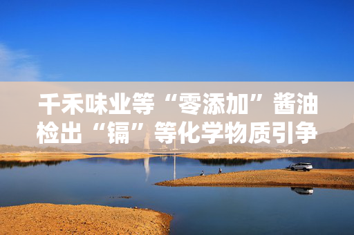 千禾味业等“零添加”酱油检出“镉”等化学物质引争议，九问“零添加”