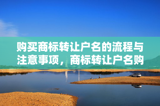 购买商标转让户名的流程与注意事项，商标转让户名购买指南