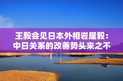 王毅会见日本外相岩屋毅：中日关系的改善势头来之不易