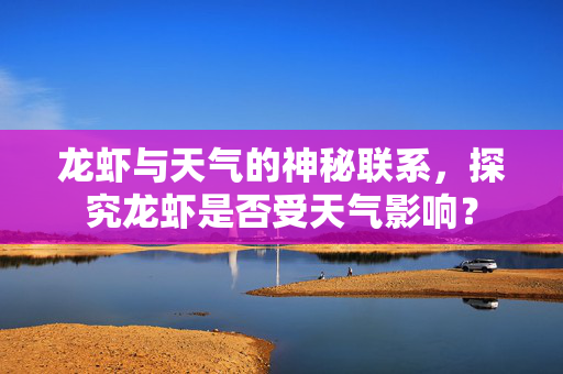 龙虾与天气的神秘联系，探究龙虾是否受天气影响？