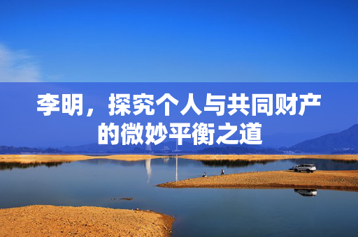 李明，探究个人与共同财产的微妙平衡之道