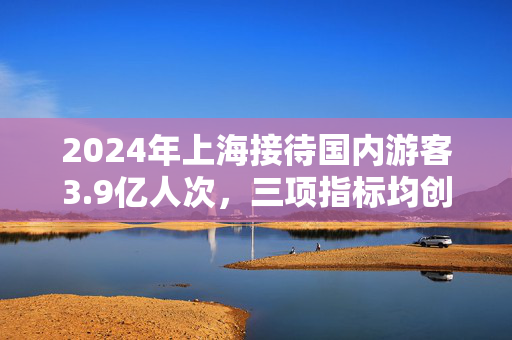 2024年上海接待国内游客3.9亿人次，三项指标均创历史新高