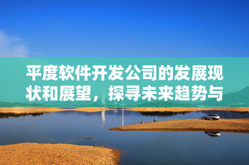 平度软件开发公司的发展现状和展望，探寻未来趋势与前景
