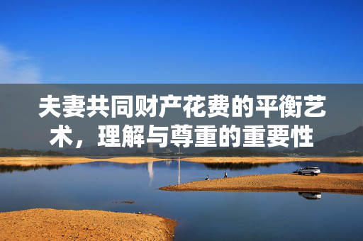 夫妻共同财产花费的平衡艺术，理解与尊重的重要性