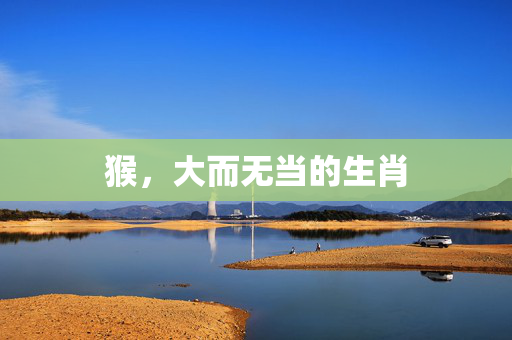 猴，大而无当的生肖