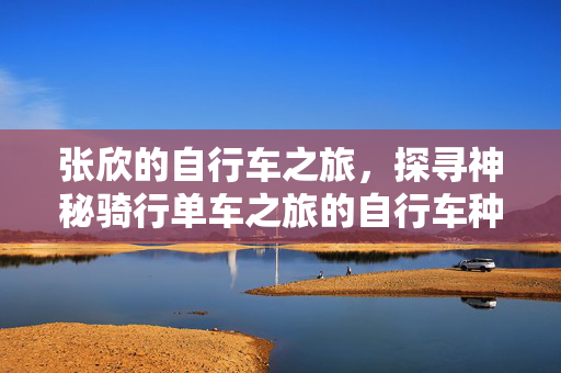 张欣的自行车之旅，探寻神秘骑行单车之旅的自行车种类