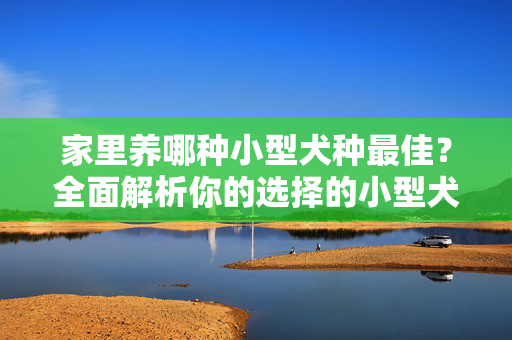 家里养哪种小型犬种最佳？全面解析你的选择的小型犬种推荐