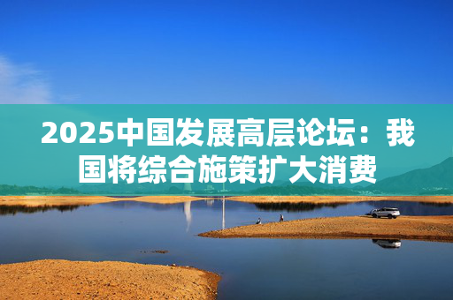 2025中国发展高层论坛：我国将综合施策扩大消费