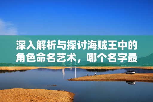 深入解析与探讨海贼王中的角色命名艺术，哪个名字最吸引你？