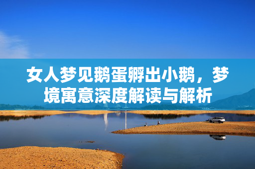 女人梦见鹅蛋孵出小鹅，梦境寓意深度解读与解析
