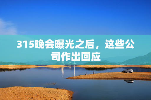 315晚会曝光之后，这些公司作出回应