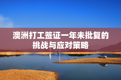 澳洲打工签证一年未批复的挑战与应对策略