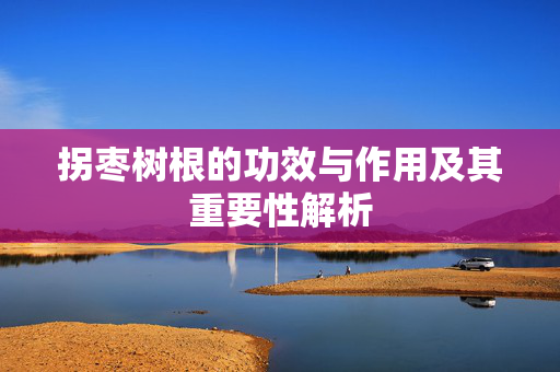 拐枣树根的功效与作用及其重要性解析