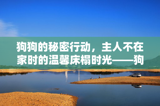 狗狗的秘密行动，主人不在家时的温馨床榻时光——狗狗的床榻陪伴时刻