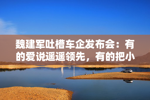 魏建军吐槽车企发布会：有的爱说遥遥领先，有的把小事说得很神秘