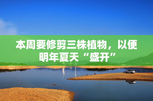 本周要修剪三株植物，以便明年夏天“盛开”