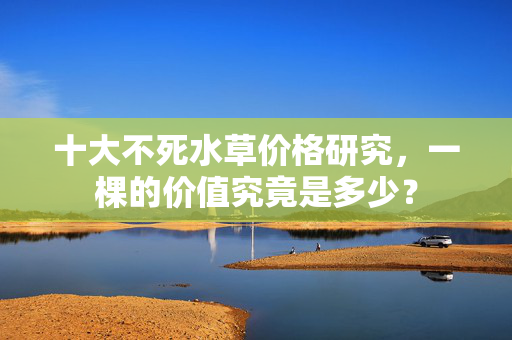 十大不死水草价格研究，一棵的价值究竟是多少？