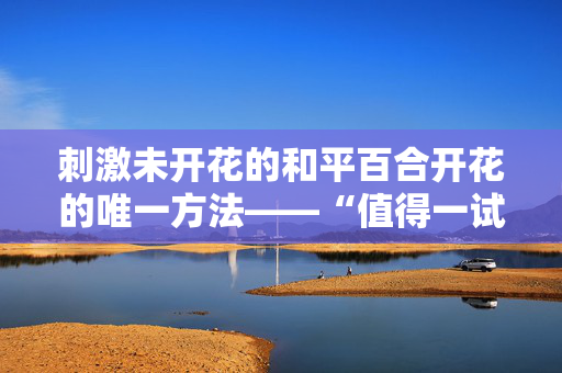 刺激未开花的和平百合开花的唯一方法——“值得一试”。