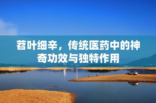 苕叶细辛，传统医药中的神奇功效与独特作用
