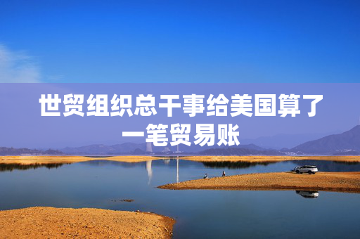 世贸组织总干事给美国算了一笔贸易账