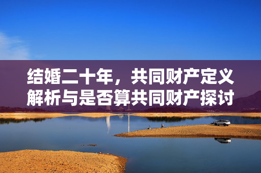 结婚二十年，共同财产定义解析与是否算共同财产探讨