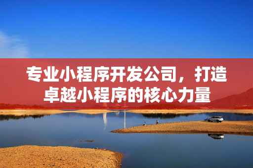 专业小程序开发公司，打造卓越小程序的核心力量