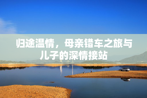 归途温情，母亲错车之旅与儿子的深情接站