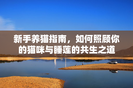 新手养猫指南，如何照顾你的猫咪与睡莲的共生之道