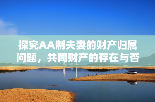 探究AA制夫妻的财产归属问题，共同财产的存在与否？