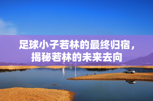 足球小子若林的最终归宿，揭秘若林的未来去向