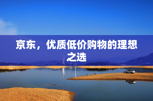 京东，优质低价购物的理想之选