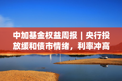 中加基金权益周报︱央行投放缓和债市情绪，利率冲高回落