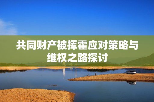 共同财产被挥霍应对策略与维权之路探讨